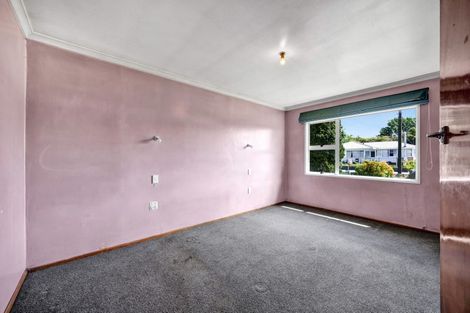 Photo of property in 6 Elsinore Street, Stratford, 4332