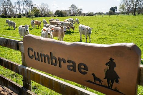 Photo of property in 5/103 Maungakawa Road, Cambridge, 3496