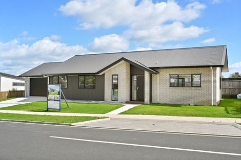 Photo of property in 67 Cobham Drive, Morrinsville, 3300