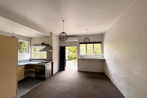 Photo of property in 29 Durham Street, Aro Valley, Wellington, 6021