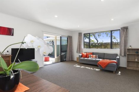 Photo of property in 241b Maungatapu Road, Maungatapu, Tauranga, 3112