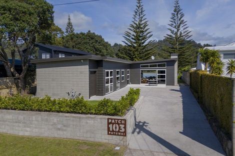 Photo of property in 103 Patuwai Drive, Whangamata, 3620
