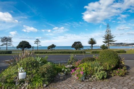 Photo of property in 24 Ferguson Avenue, Westshore, Napier, 4110
