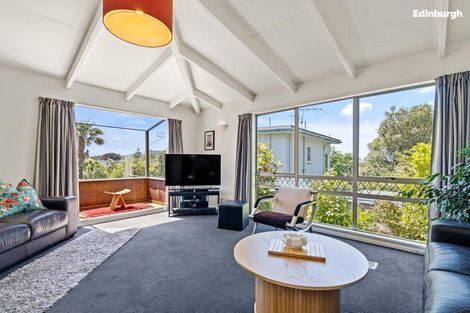 Photo of property in 28a Melrose Street, Roslyn, Dunedin, 9010
