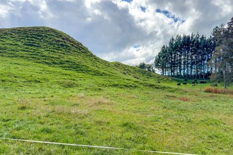 Photo of property in 17 Franklin Road, Waihi, 3682