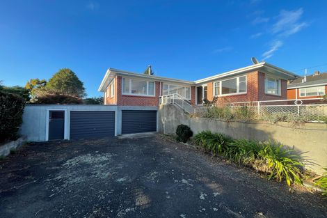 Photo of property in 19 Sholson Street, Putaruru, 3411