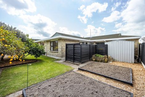 Photo of property in 28 Mcmeekan Avenue, Chartwell, Hamilton, 3210