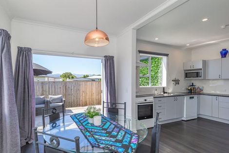 Photo of property in 38 Princes Street, Levin, 5510