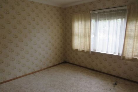 Photo of property in 37 Graham Street, Levin, 5510