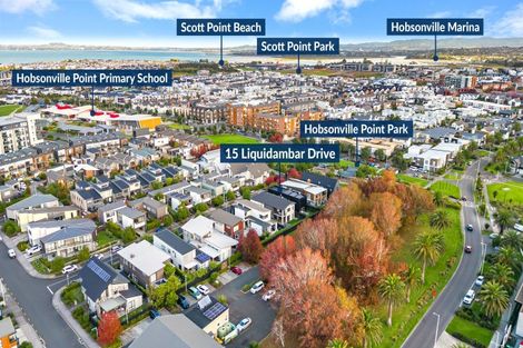 Photo of property in 15 Liquidambar Drive, Hobsonville, Auckland, 0616