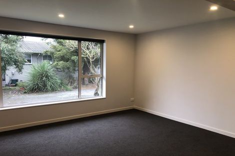 Photo of property in 264 Island Road, Kaiapoi, 7630