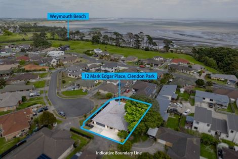 Photo of property in 12 Mark Edgar Place, Clendon Park, Auckland, 2103