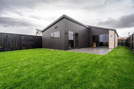 Photo of property in 24 Halo Green, Peacocke, 3206