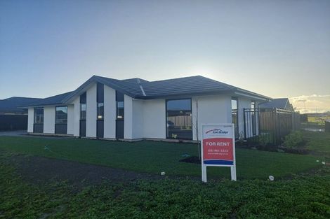 Photo of property in 80 Lenborough Drive, Rolleston, 7614