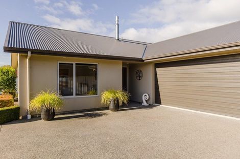 Photo of property in 21 Chamberlain Road, Masterton, 5888