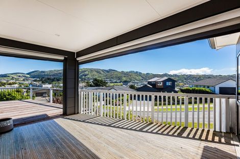 Photo of property in 117 John Burke Drive, Aotea, Porirua, 5024