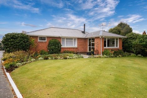 Photo of property in 33 Suffolk Street, Hampstead, Ashburton, 7700