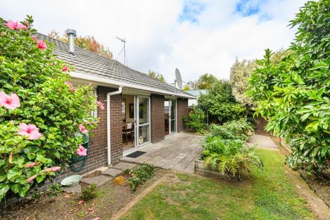Photo of property in 459 College Street, Hokowhitu, Palmerston North, 4410