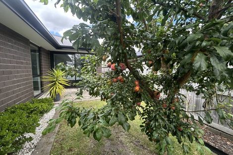 Photo of property in 60b Herschel Street, Ngaruawahia, 3720