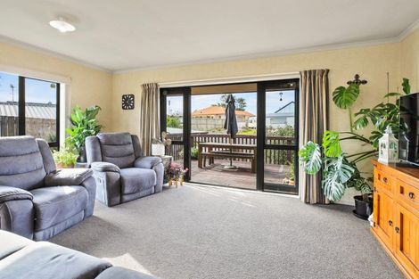 Photo of property in 49a Tranmere Road, Fairfield, Hamilton, 3214