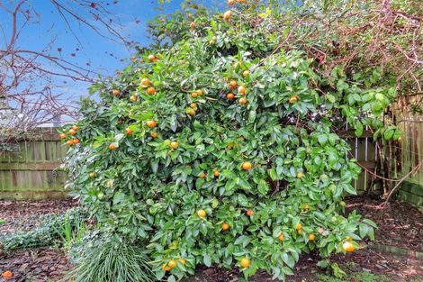 Photo of property in 66 James Street, Glenholme, Rotorua, 3010