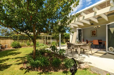 Photo of property in 14 Chelsea Court, Bethlehem, Tauranga, 3110