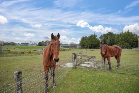 Photo of property in 136 Fenham Road, Merrivale, Otautau, 9682