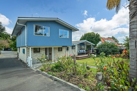 Photo of property in 45 Plassey Street, Havelock North, 4130