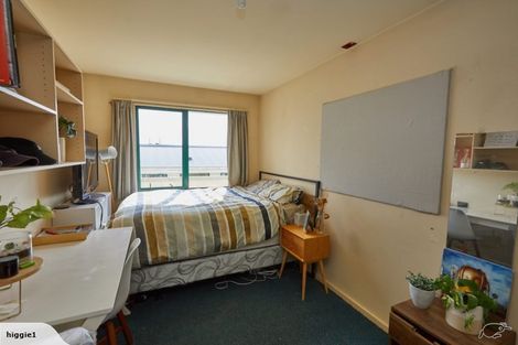 Photo of property in Te Awhina Apartments, 22u1 Sussex Street, Mount Cook, Wellington, 6021