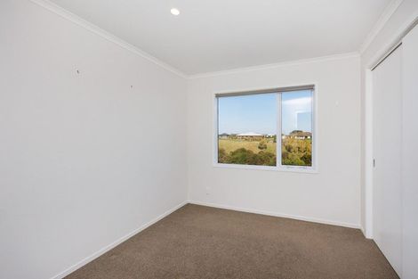 Photo of property in 29 Wapiti Avenue, Feilding, 4775