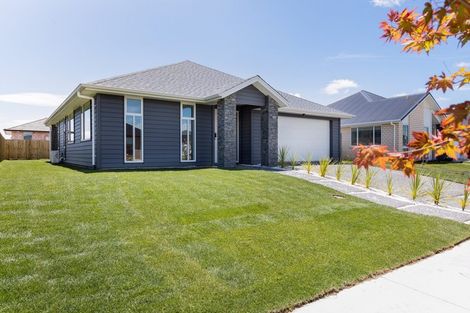 Photo of property in 39 Ruru Street, Cambridge, 3434