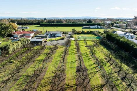 Photo of property in 934 Riverslea Road South, Longlands, Hastings, 4122