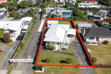 Photo of property in 17 Kaikoura Street, Henderson, Auckland, 0612