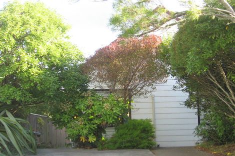 Photo of property in 250a Mitchell Street, Brooklyn, Wellington, 6021