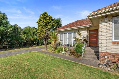 Photo of property in 19 Alexandra Avenue, Morrinsville, 3300