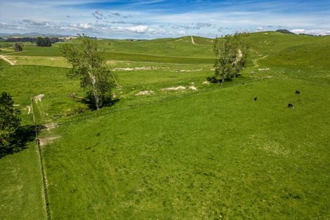 Photo of property in 314 Rakaiatai Road, Ormondville, Dannevirke, 4977