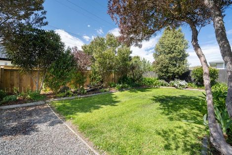 Photo of property in 95 Cleghorn Street, Redwoodtown, Blenheim, 7201