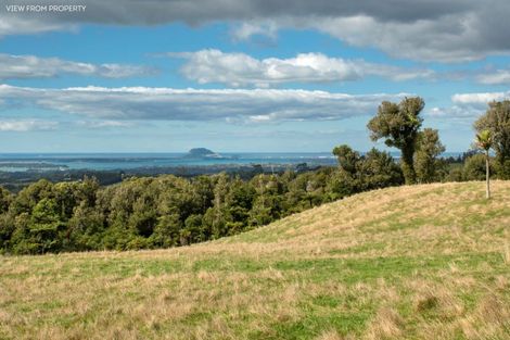 Photo of property in 1039d Work Road, Whakamarama, 3181