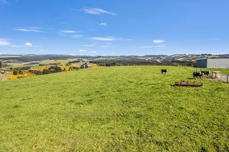 Photo of property in Akatore Road, Taieri Beach, 9091