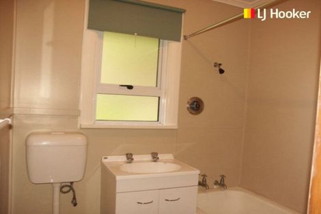 Photo of property in 29 Saint Albans Street, Bradford, Dunedin, 9011