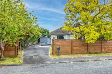 Photo of property in 8 Pamir Street, Mairehau, Christchurch, 8052