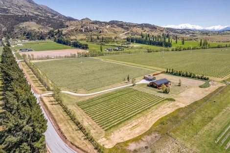 Photo of property in 90 Willowbank Road, Queensberry, Cromwell, 9383