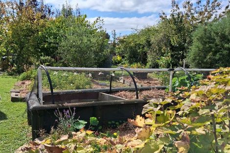 Photo of property in 14 George Street, Waimate, 7924