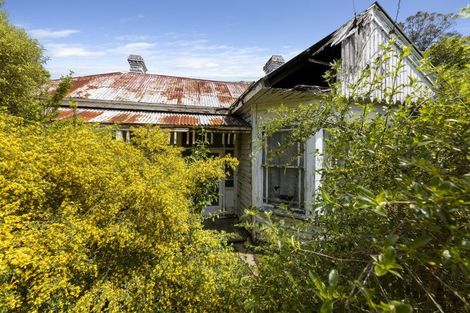 Photo of property in 17 De Lacy Street, Maia, Dunedin, 9022