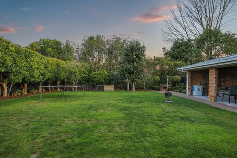Photo of property in 79 Rimu Street, Maeroa, Hamilton, 3200