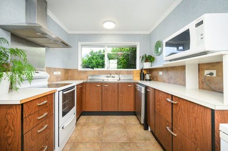 Photo of property in 459 College Street, Hokowhitu, Palmerston North, 4410