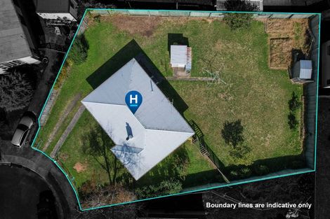 Photo of property in 17 Davies Street, Paeroa, 3600