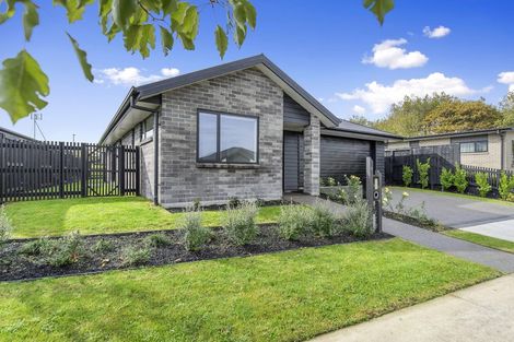 Photo of property in 6 Morrin Street, Morrinsville, 3300