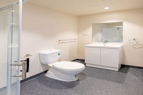 Photo of property in Te Kainga Te Aka, 203 Willis Street, Te Aro, Wellington, 6011