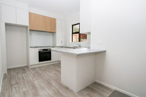 Photo of property in 27u3 Seddon Road, Frankton, Hamilton, 3204